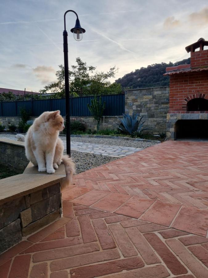 Dimora Pepatio Apartamento Camporosso  Exterior foto
